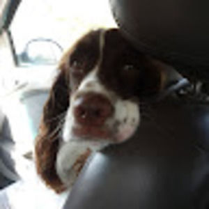 Meet your Posher, Sheila